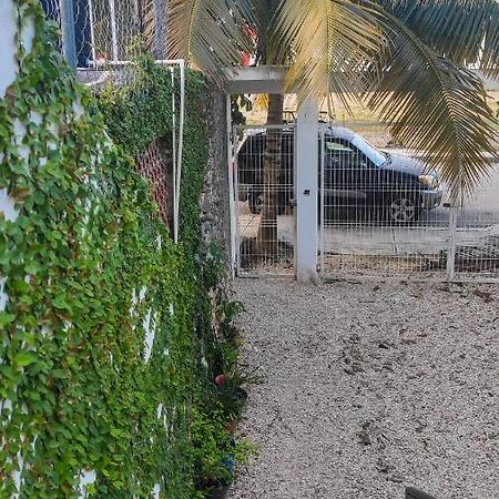 Appartamento Departamento céntrico con estacionamiento Felipe Carrillo Puerto Esterno foto